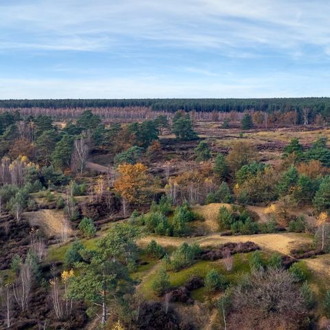 Center Parcs Park Erperheide - Camping Limburg Belge - Image N°6