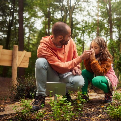 Center Parcs Park Erperheide - Camping Limburg Belge - Image N°3