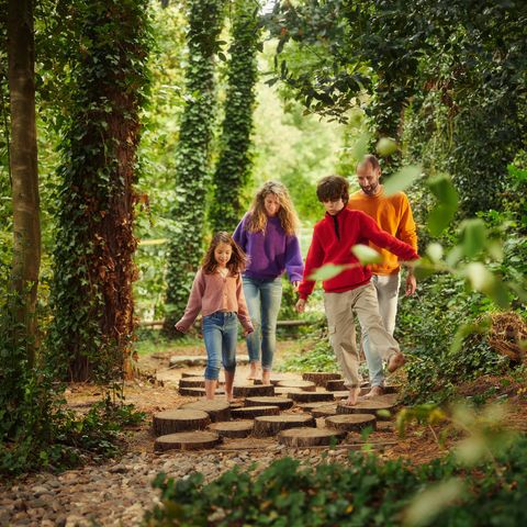 Center Parcs Park Erperheide - Camping Limburg Belge - Image N°5