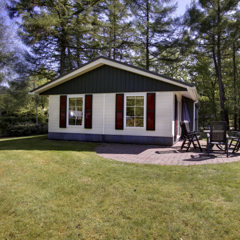 CHALET 6 personnes - ForestXL