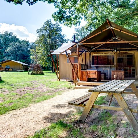 TENTE 6 personnes - Dalfsen Lodge