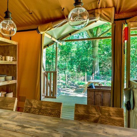 TENTE 6 personnes - Dalfsen Lodge