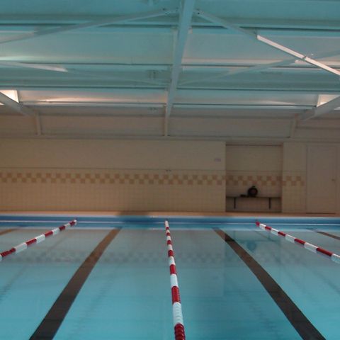 Buitenplaats Gerner - Camping Dalfsen - Image N°6