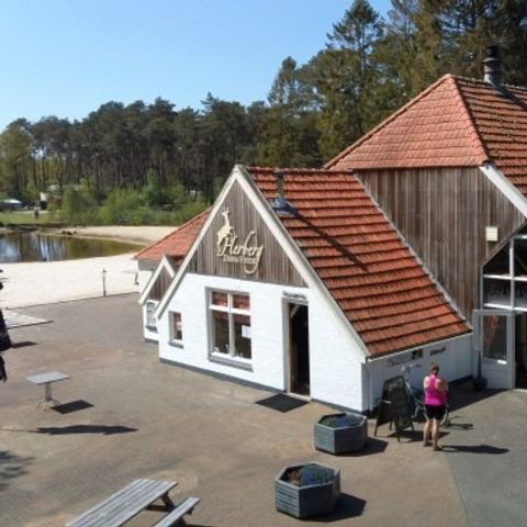 Vakantiepark Diana Heide - Camping Aa en Hunze - Image N°2