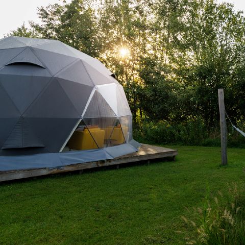 Camping Vreehorst - Camping Winterswijk - Image N°2