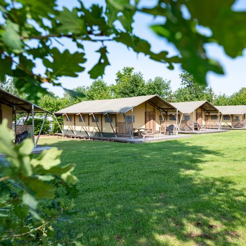 TENTE 6 personnes - Woodlodge