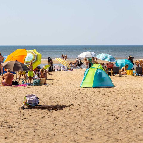 Molecaten Park Noordduinen - Camping Katwijk am Meer - Image N°4