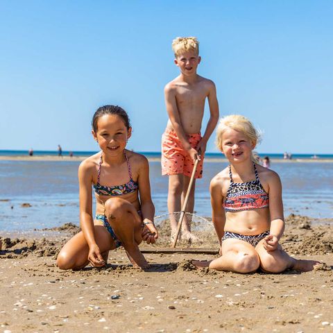 Molecaten Park Noordduinen - Camping Katwijk am Meer - Image N°6