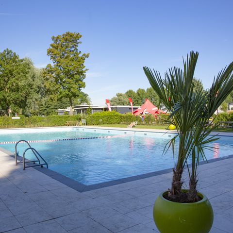 EuroParcs De Biesbosch - Camping Dordrecht - Image N°2