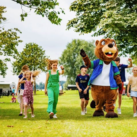 Vakantiepark Eiland van Maurik - Camping Buren - Image N°4