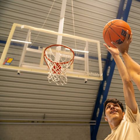 Landal Vakantiepark Zeebad - Camping Sluis - Image N°5