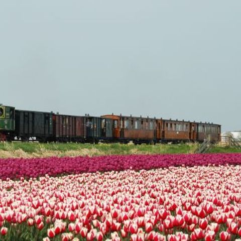 Vakantiepark Het Grootslag - Camping Hollands Kroon - Image N°6