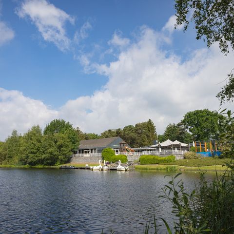 Landal Bospark 't Wolfsven - Camping Geldrop Mierlo - Image N°5