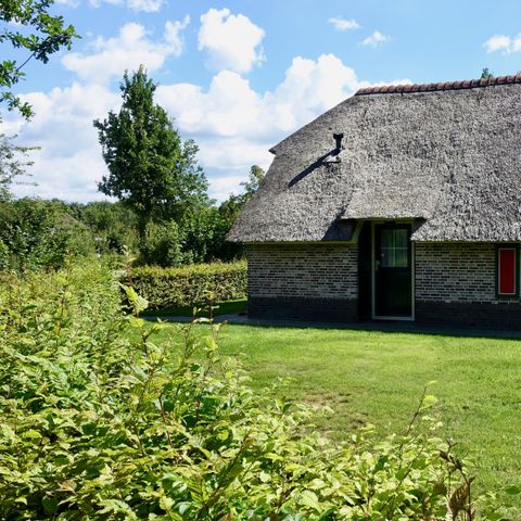 Vakantiepark De Lourenshoeve - Camping Twenteret - Image N°3