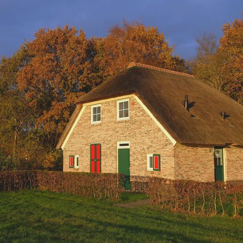 Vakantiepark De Lourenshoeve - Camping Twenteret - Image N°4