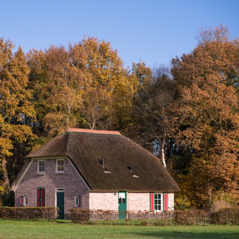 Vakantiepark De Lourenshoeve - Camping Twenteret - Image N°5