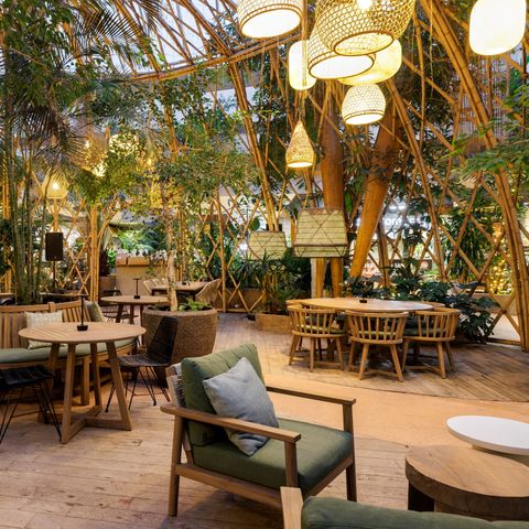 Center Parcs Parc Sandur - Camping Emmen - Image N°3