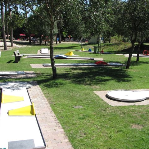 RecreatieParc De Witte Vennen - Camping Venray - Image N°6