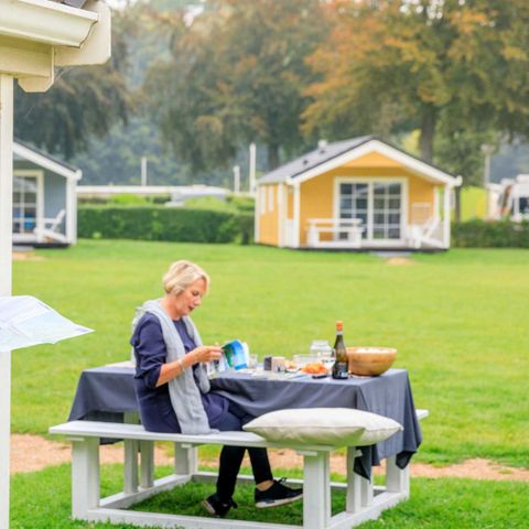 Molecaten Park Waterbos - Camping Westvoorne - Image N°4