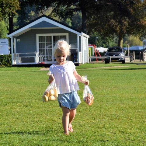 Molecaten Park Waterbos - Camping Westvoorne - Image N°6