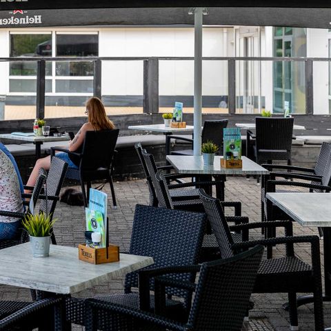 Molecaten Park Rondeweibos - Camping Westvoorne - Image N°6