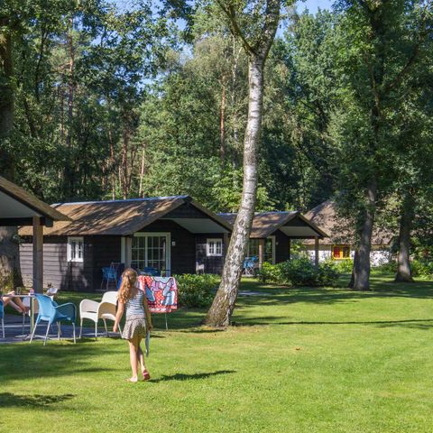 Molecaten Park De Leemkule - Camping Hattem - Image N°3