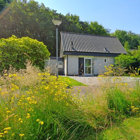 BUNGALOW 6 personnes - Budget peuplier | 4+2 personnes