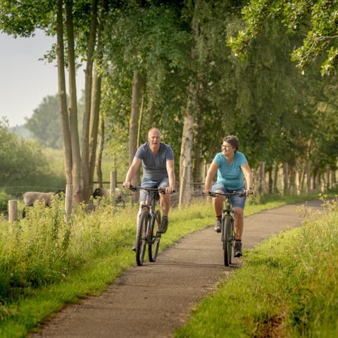 Bungalowpark Het Bosmeer - Camping Weststellingwerf - Image N°3