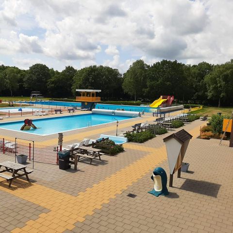 Bungalowpark Het Bosmeer - Camping Weststellingwerf - Image N°6