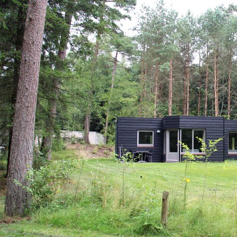 MAISON 4 personnes - Hêtre rouge