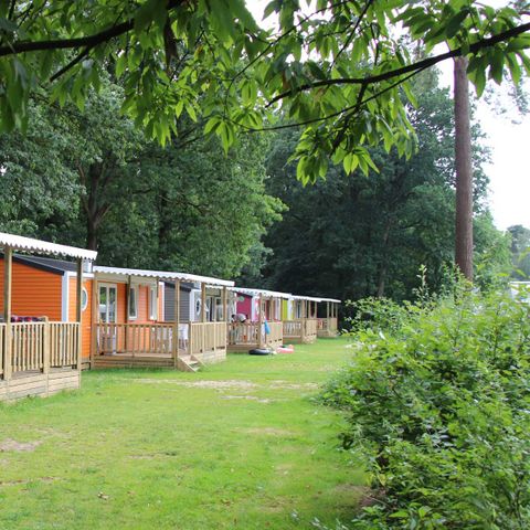 CHALET 6 personnes - Lupin