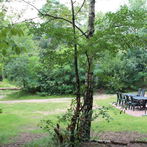 MAISON 8 personnes - 8 pers. vakantiehuisje Heidestein