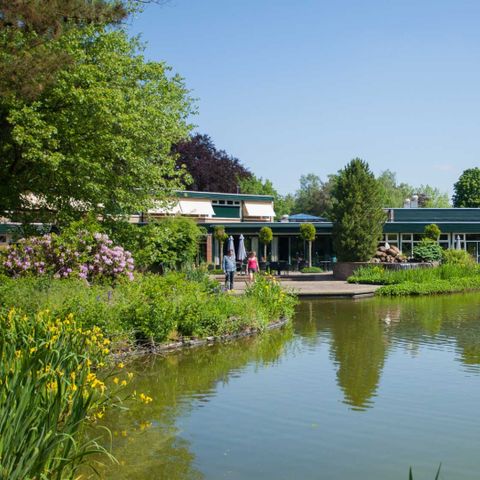Molecaten Park Landgoed Ginkelduin - Camping Utrechtse Heuvelrug - Image N°6