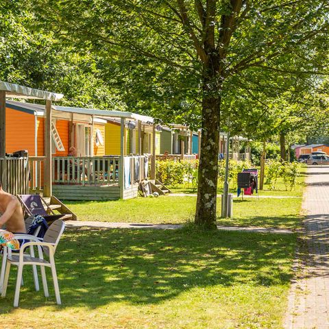 Molecaten Park Bosbad Hoeven - Camping Halderberge - Image N°2