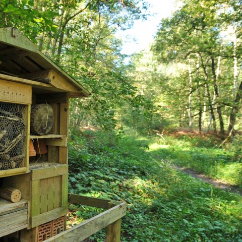 Village de Vacances d Oignies - Camping Hainaut - Image N°5