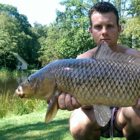 Recreatiecentrum Adelhof - Camping Westerveld - Image N°6