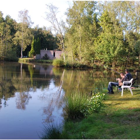 Recreatiecentrum Adelhof - Camping Westerveld - Image N°5