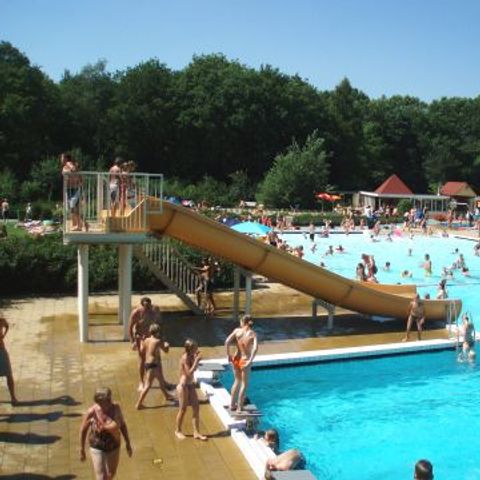 Recreatiecentrum Adelhof - Camping Westerveld - Image N°4