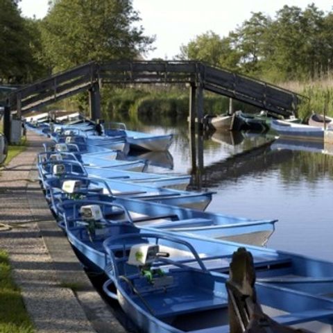 Buitengoed Fredeshiem - Camping Steenwijkerland - Image N°6