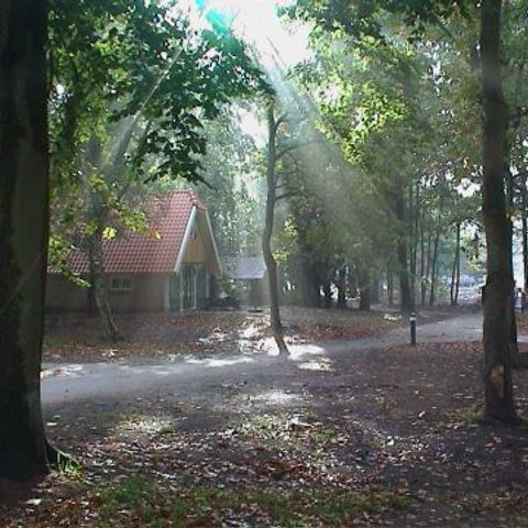 Buitengoed Fredeshiem - Camping Steenwijkerland - Image N°2