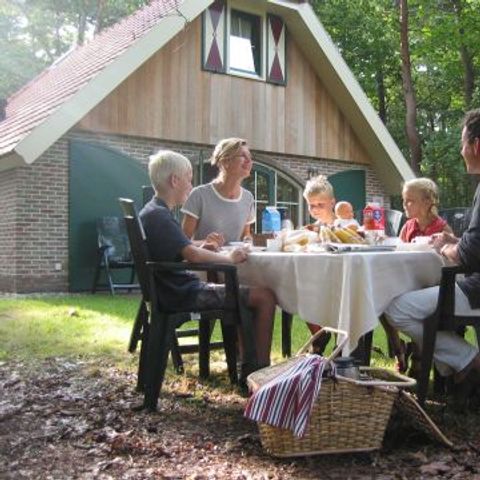 Buitengoed Fredeshiem - Camping Steenwijkerland - Image N°5