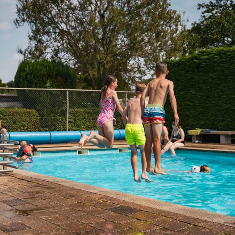 Vakantiepark Delftse Hout - Camping Delft - Image N°2