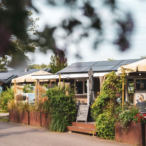 Vakantiepark Delftse Hout - Camping Delft - Image N°4