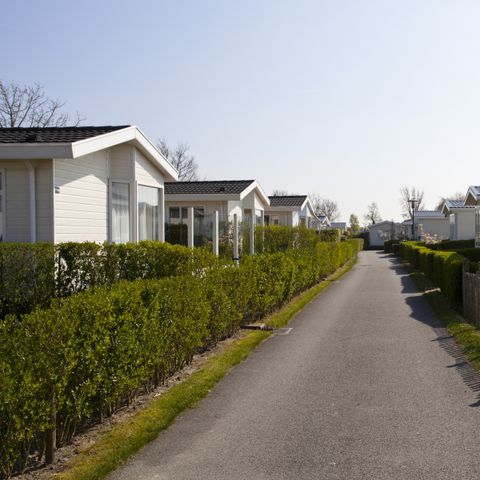 EuroParcs Schoneveld - Camping Sluis - Image N°5