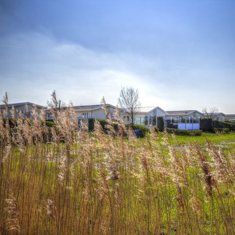 EuroParcs Schoneveld - Camping Sluis - Image N°2