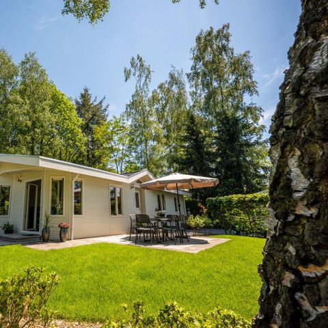 CHALET 6 personnes - Hackfort 6