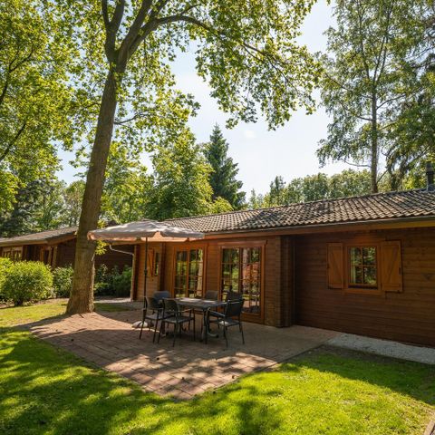 CHALET 6 personnes - Boekhorst 6