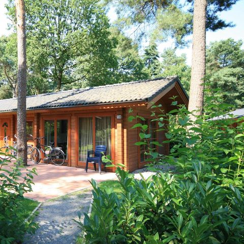 CHALET 4 personnes - Boekhorst 4