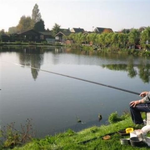 Recreatiepark Klein Strand - Camping Flandre Occidentale - Image N°4