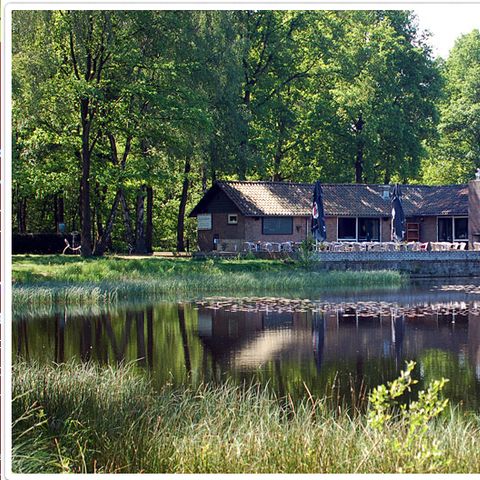 Vakantiepark 't Vosseven - Camping Weert - Image N°3